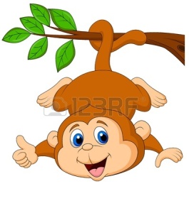19119539-cute-monkey-cartoon-hanging-on-a-tree-branch-with-thumb-up