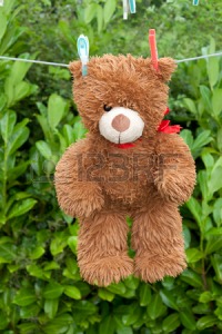 37363823-toy-brown-teddy-bear-hanging-on-the-clothes-line-after-a-bath